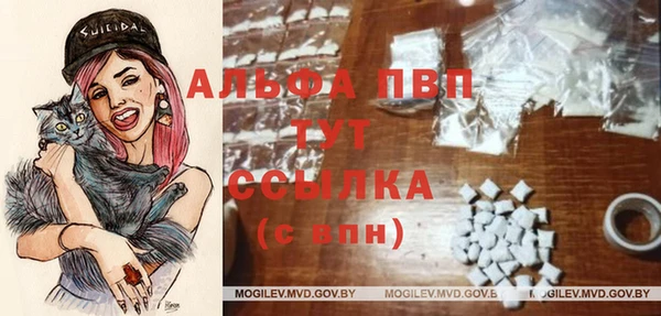 гашик Арсеньев