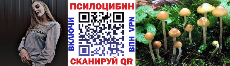 блэк спрут tor  магазин продажи   Бронницы  Псилоцибиновые грибы Cubensis 